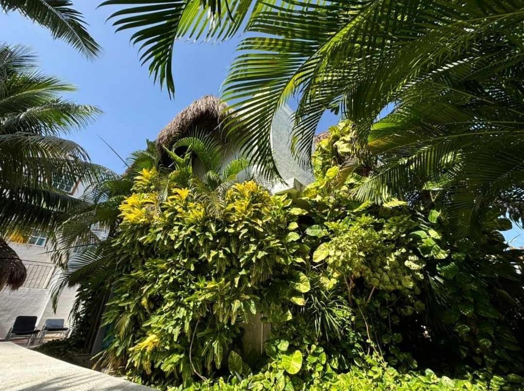 Casa Nona Rosa Apartman Cancún Kültér fotó
